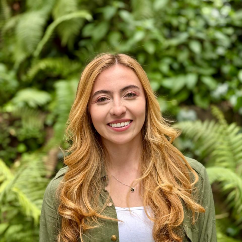 Laura Daniela  Sotelo Briceño