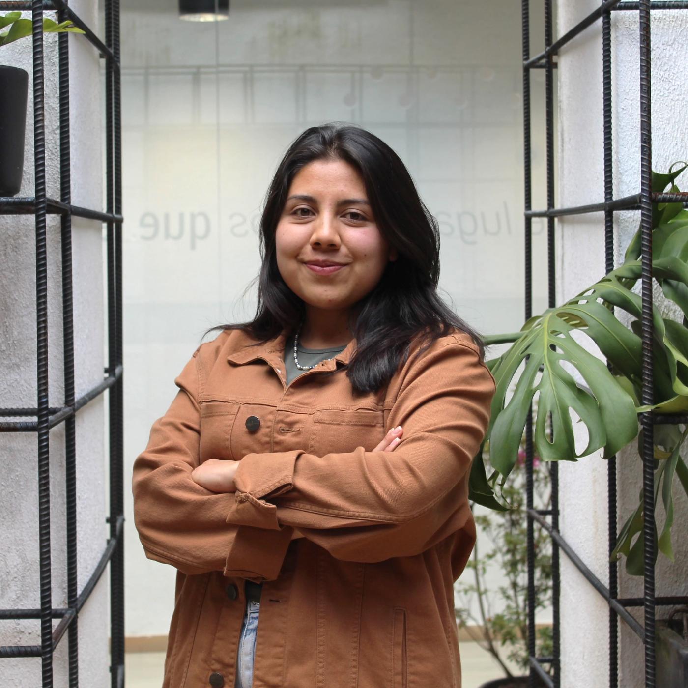 PROFESIONAL DE EMPRENDIMIENTO 