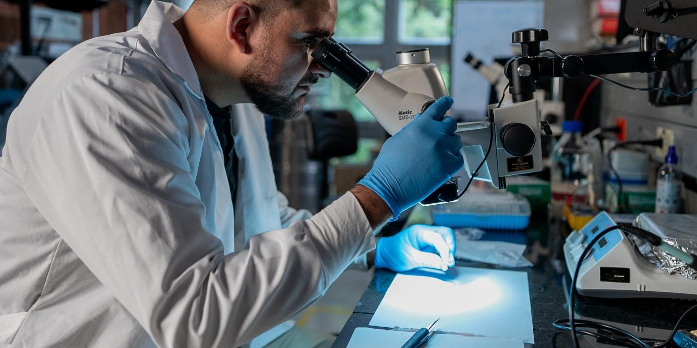 Laboratorio_Harold_2