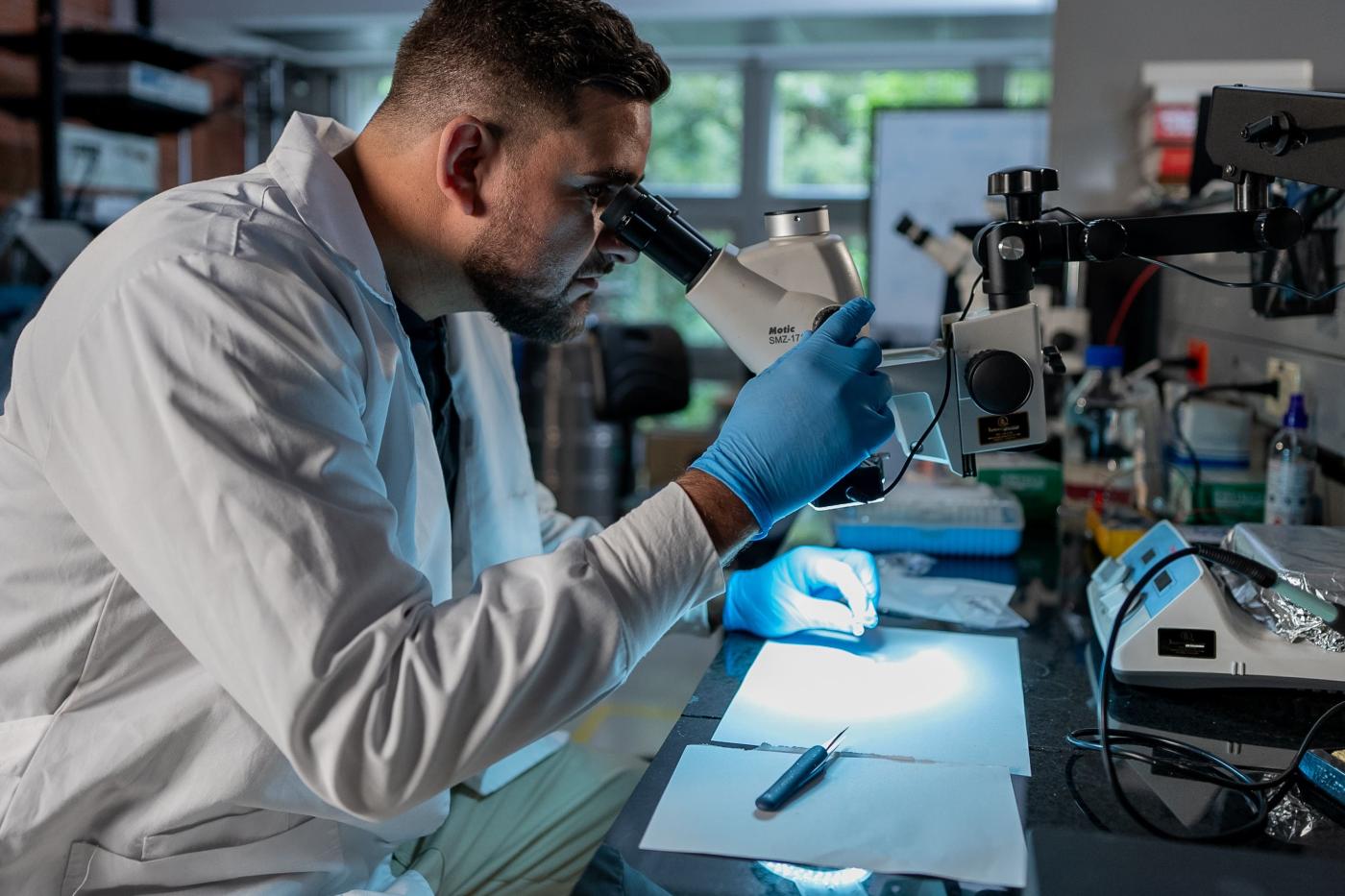 Laboratorio_Harold_2