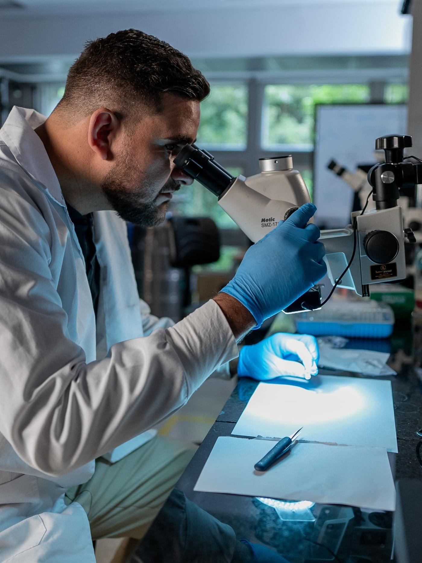 Laboratorio_Harold_2