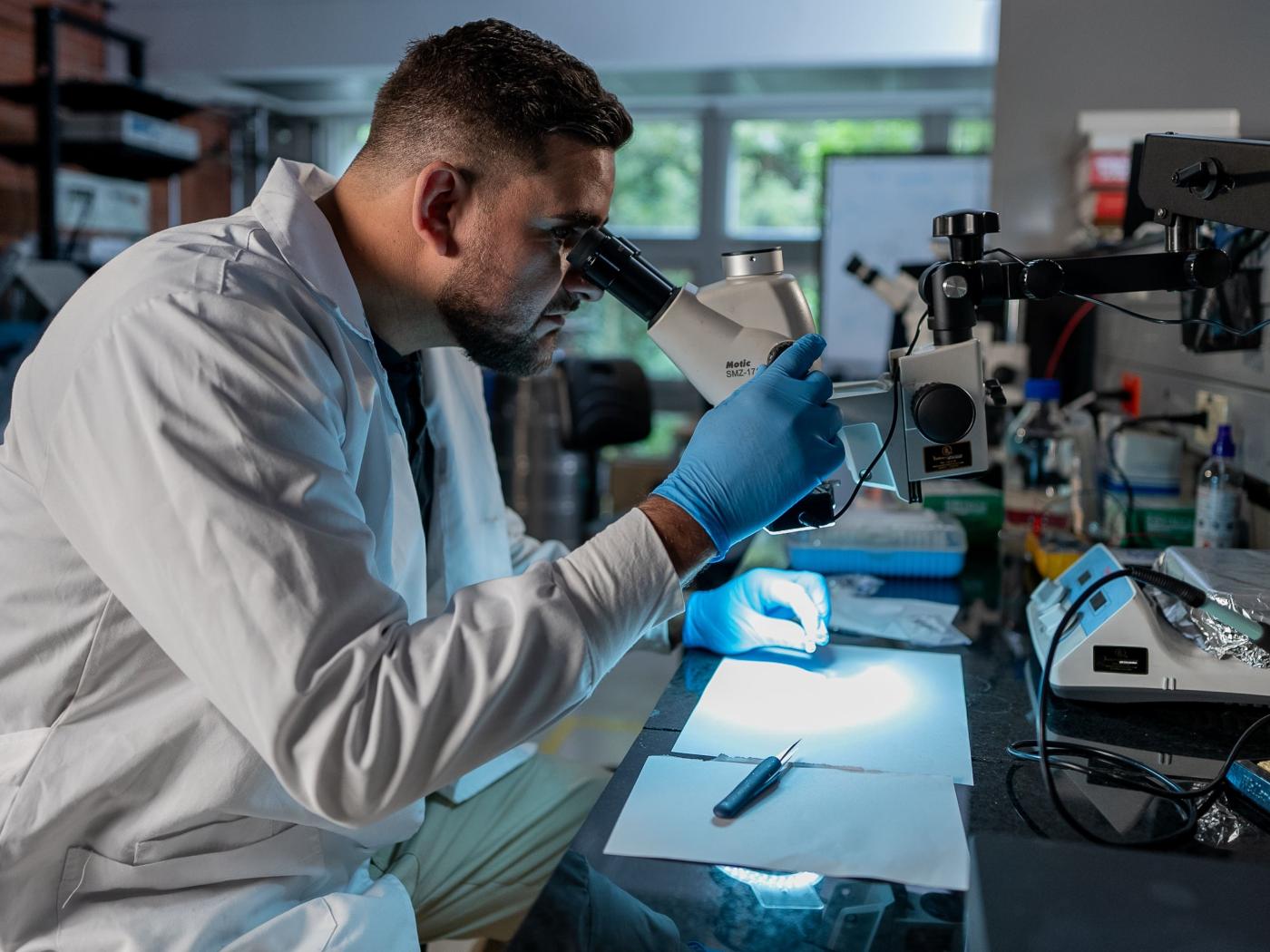 Laboratorio_Harold_2